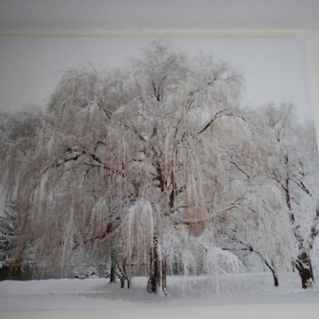 Bed and Breakfast Longview House Ballymoney Esterno foto